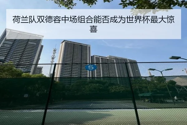 荷兰队双德容中场组合能否成为世界杯最大惊喜
